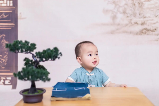 攀枝花宝宝6个月可以坐吗